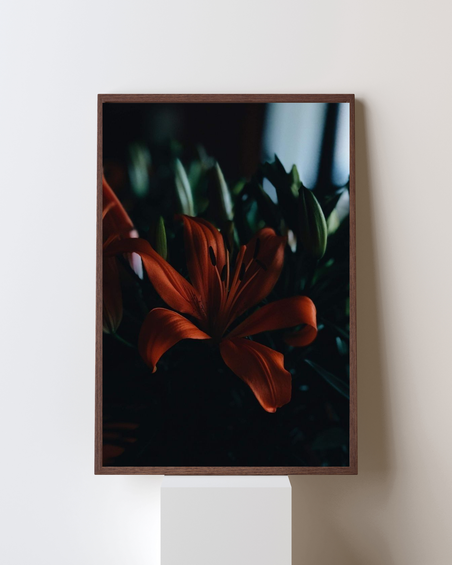 Blooming Frame – Midnight Ember Lily | Dark Aesthetic Floral Wall Art
