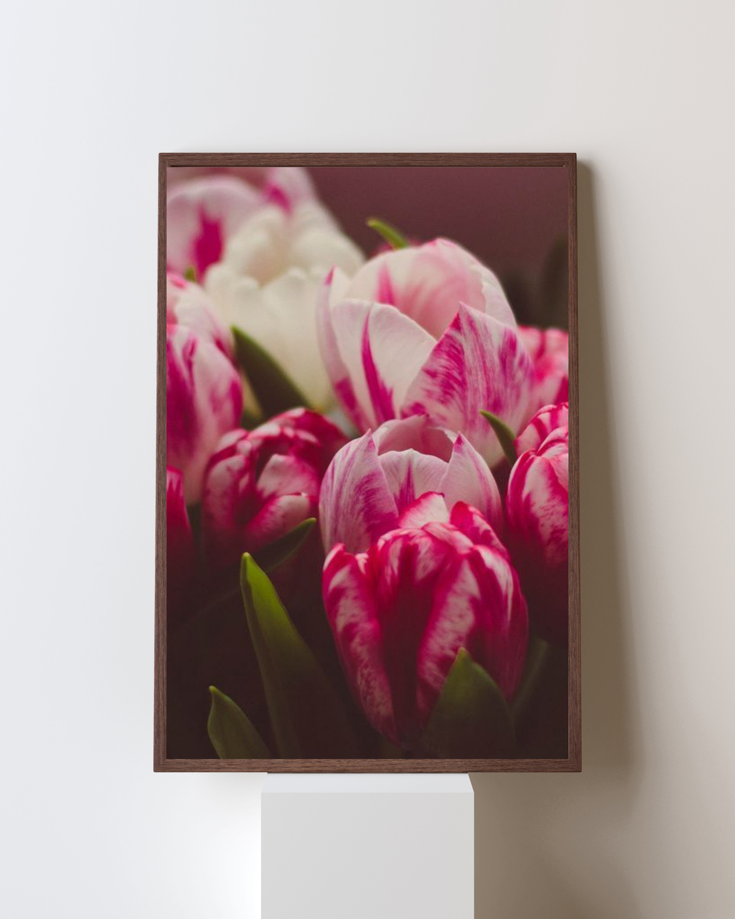 Blooming Frame – Blush Velvet Tulips | Pink & White Petal Harmony Wall Art