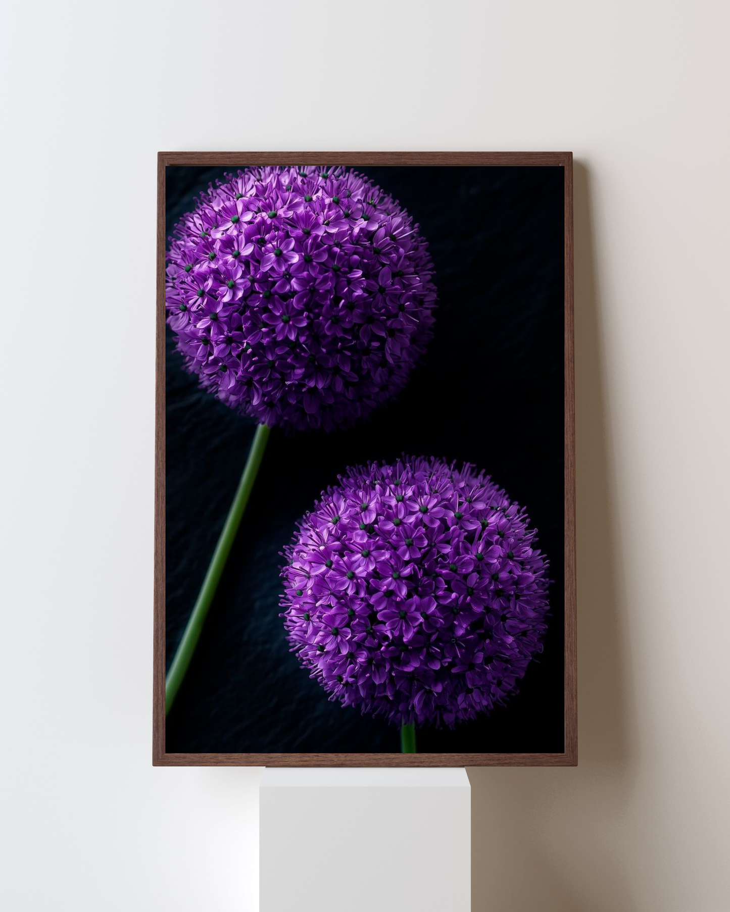 Blooming Frame – Midnight Allium Duo | Purple Floral Sphere Art