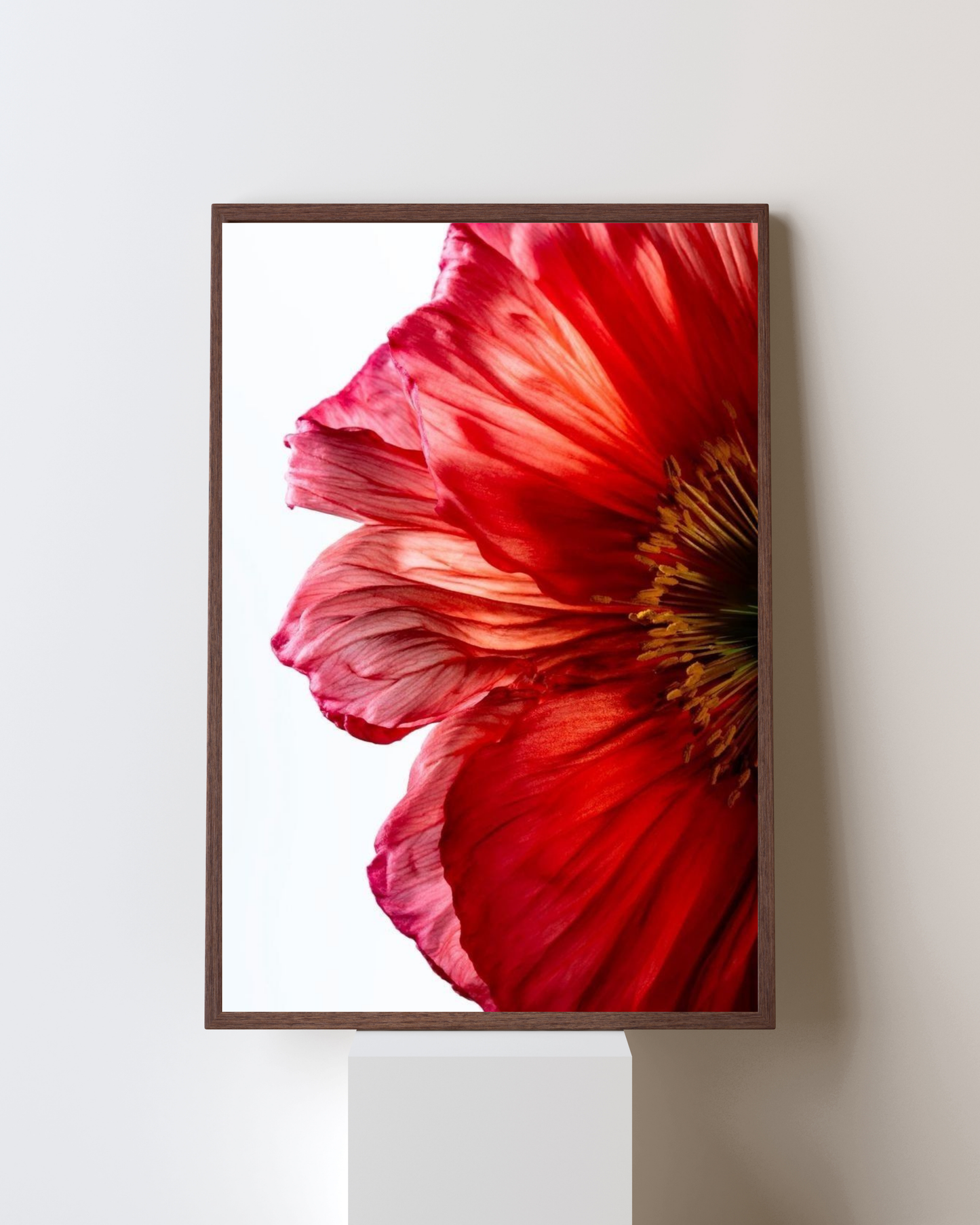 Blooming Frame – Scarlet Grace Botanical Wall Art | Bold Floral Minimalist Decor