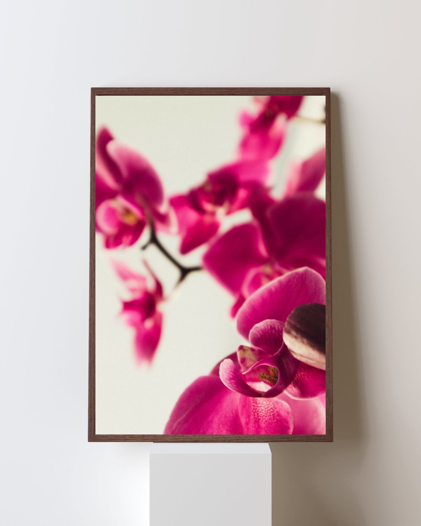 Blooming Frame – Orchid Muse Floral Wall Art | Elegant Minimal Botanical Decor