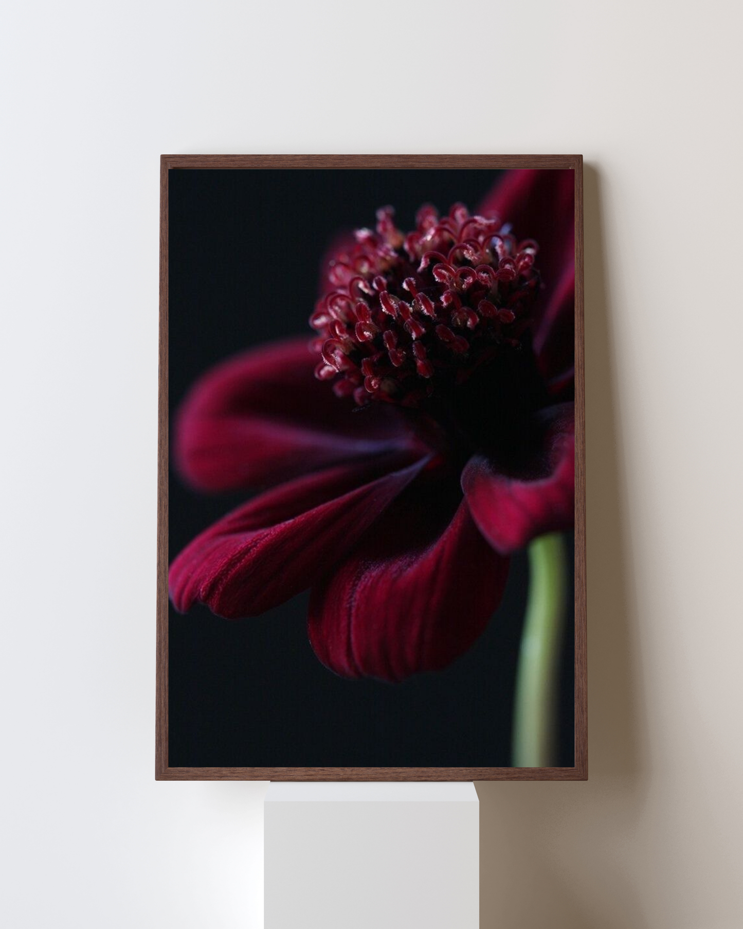 Blooming Frame – “Crimson Whisper” Floral Wall Art