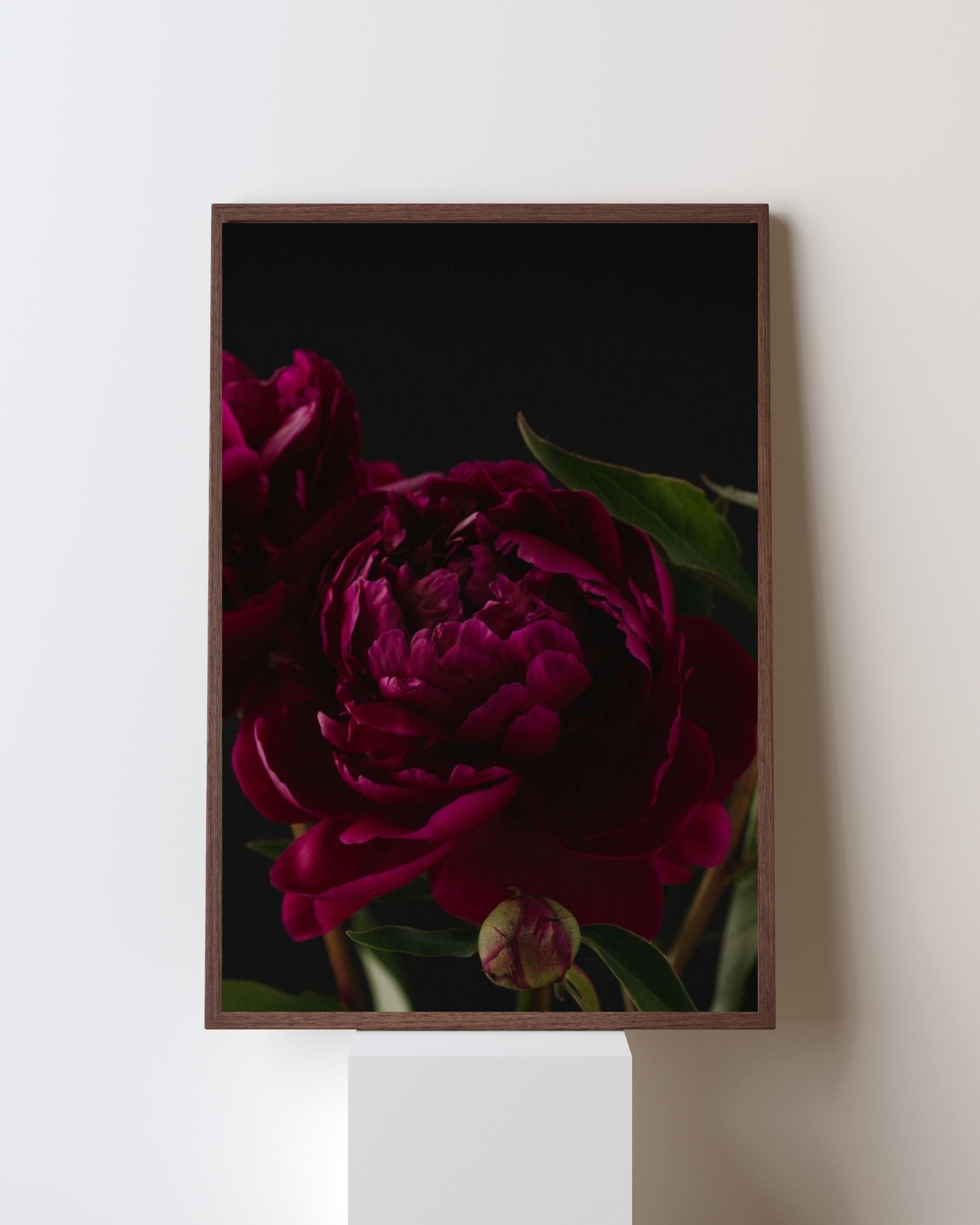 Blooming Frame – “Velvet Bloom” Wall Art