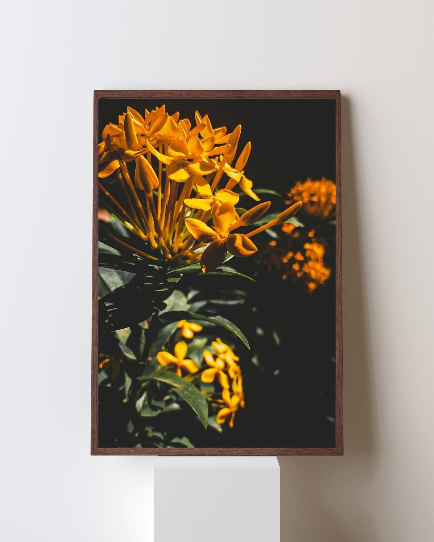 Blooming Frame – “Golden Hour Bloom” Wall Art