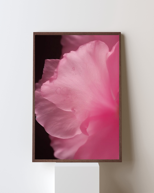 Blooming Frame – Petal Whisper Floral Wall Art | Soft Pink Serenity Decor