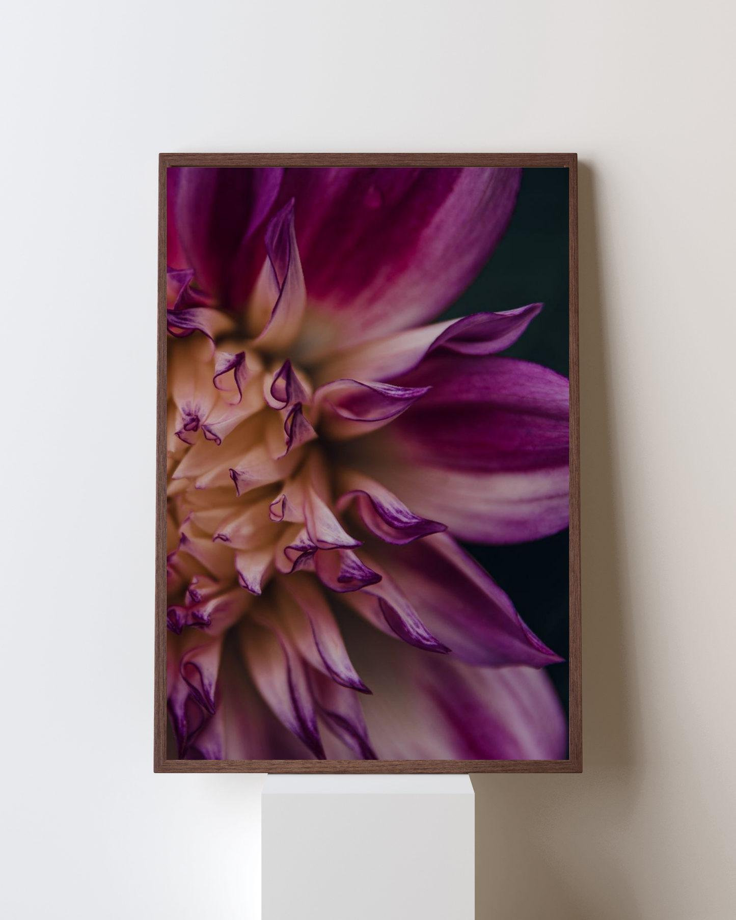 Blooming Frame – Dahlia Dream Bloom | Elegant Floral Wall Art