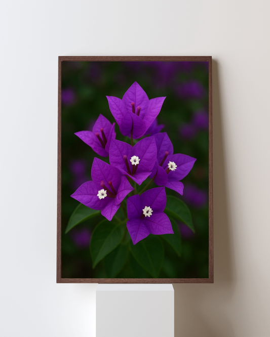 Blooming Frame – Purple Bougainvillea Cluster | Vibrant Botanical Wall Art
