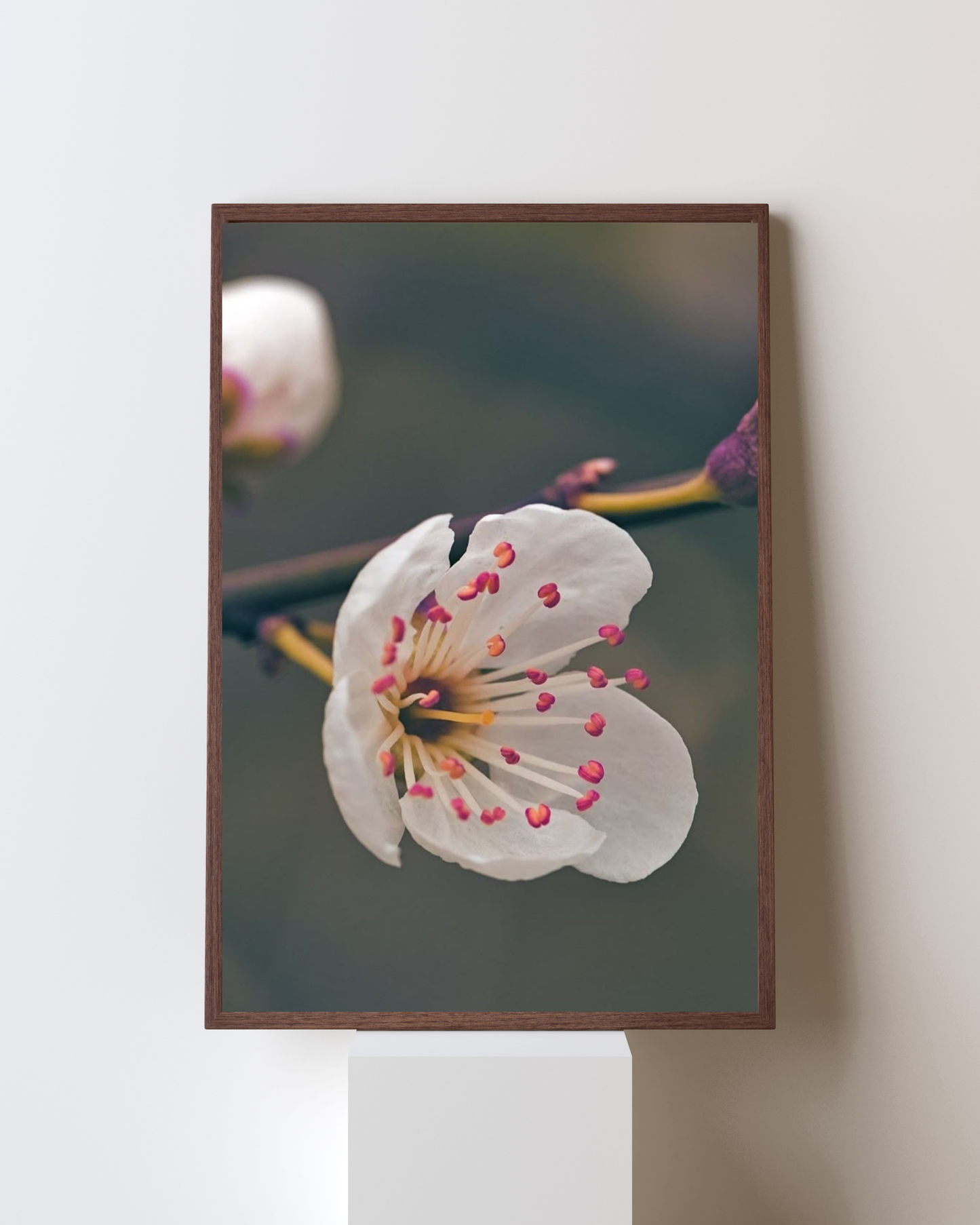 Blooming Frame – White Blossom Grace | Soft Minimal Floral Wall Art