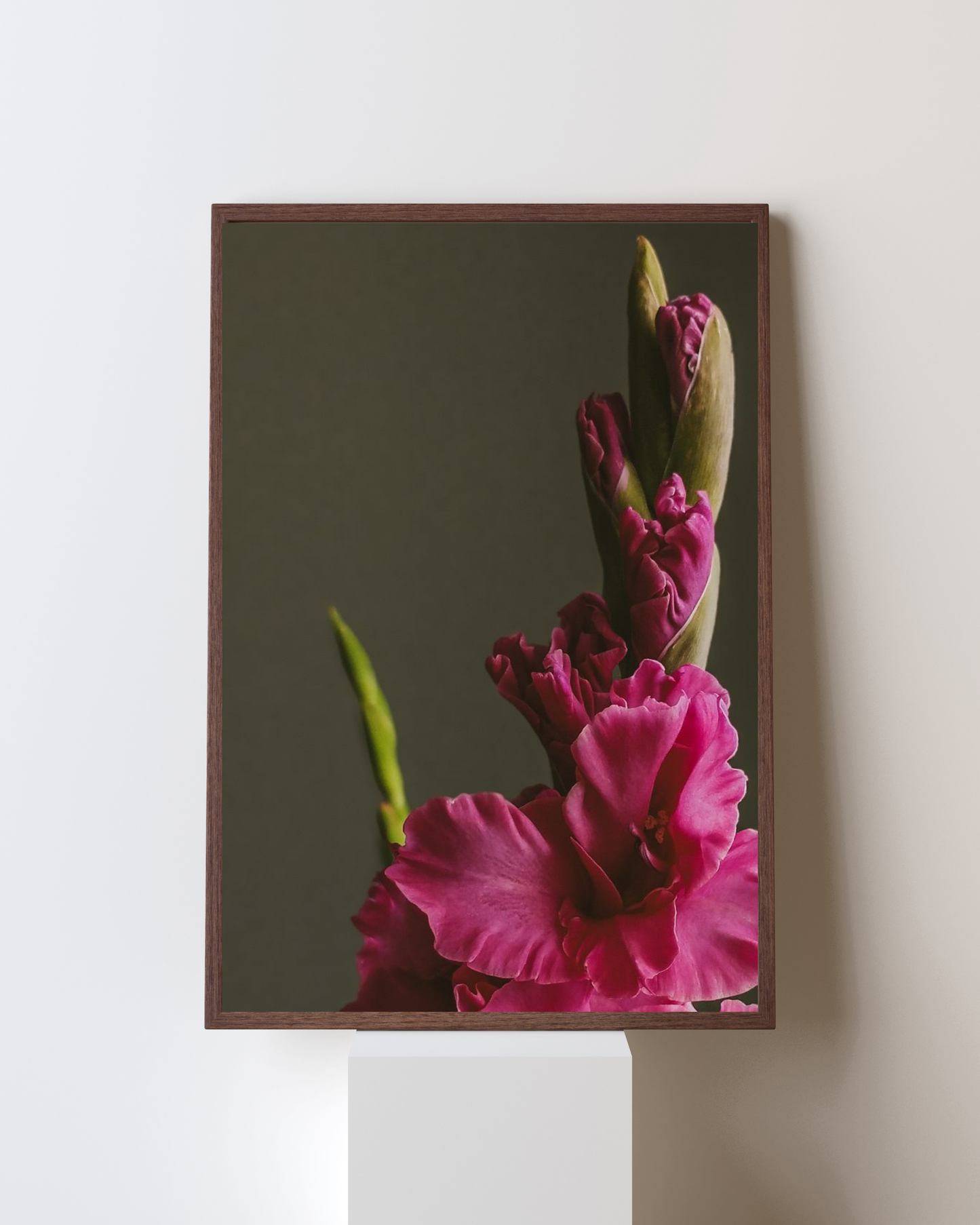Blooming Frame – Fuchsia Grace Blossom | Elegant Gladiolus Floral Wall Art