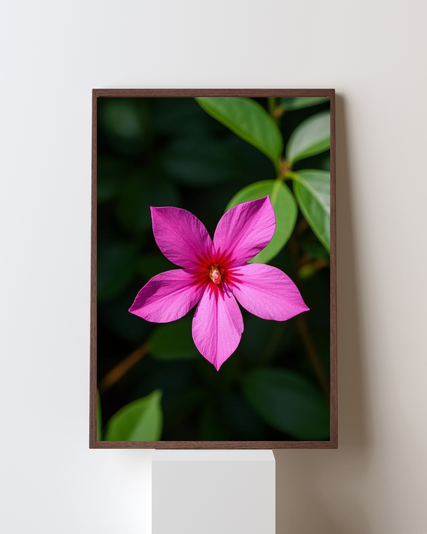 Blooming Frame – Pink Star Blossom | Radiant Tropical Flower Art