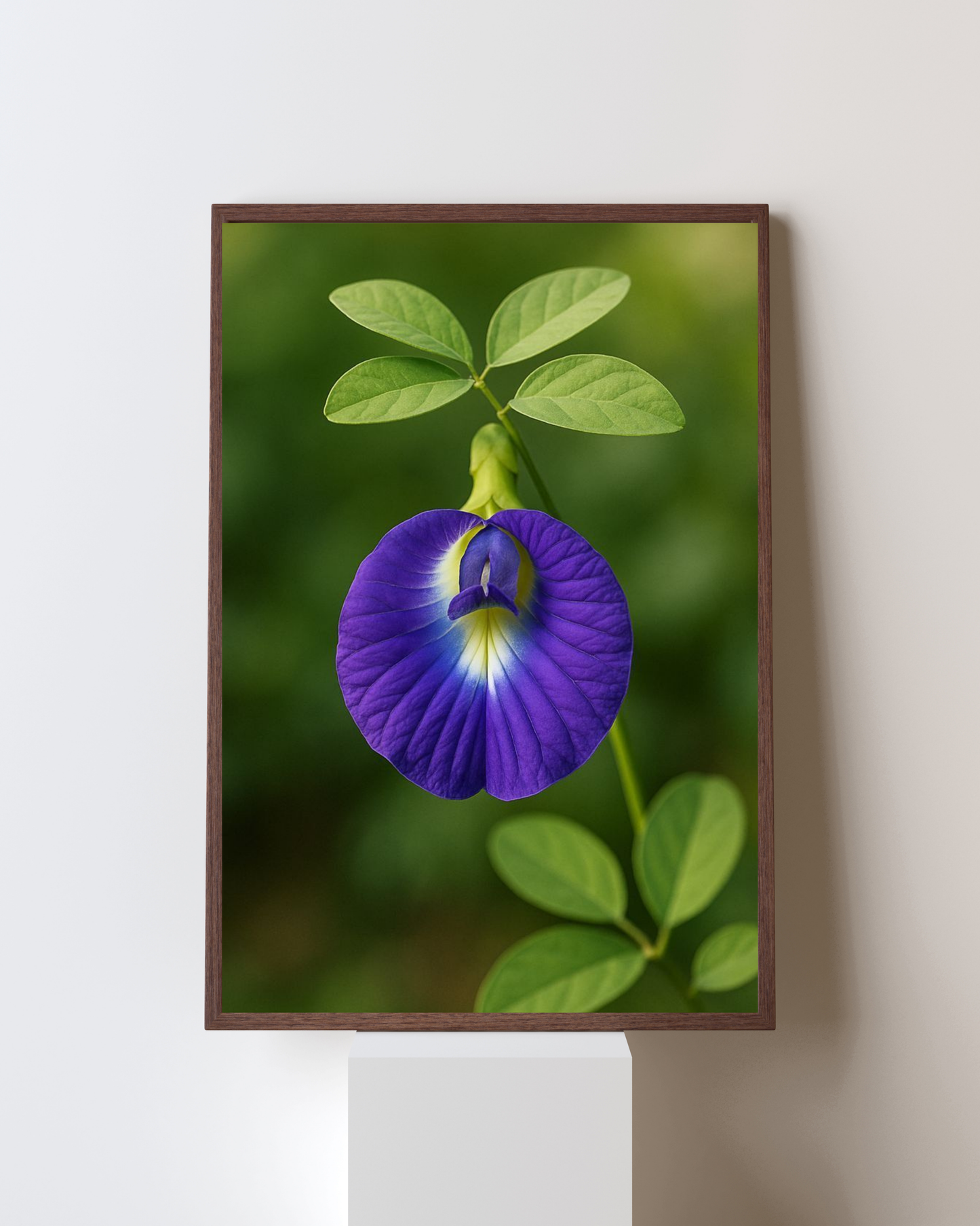 Blooming Frame – Royal Blue Pea Blossom | Nature’s Serenity Wall Art