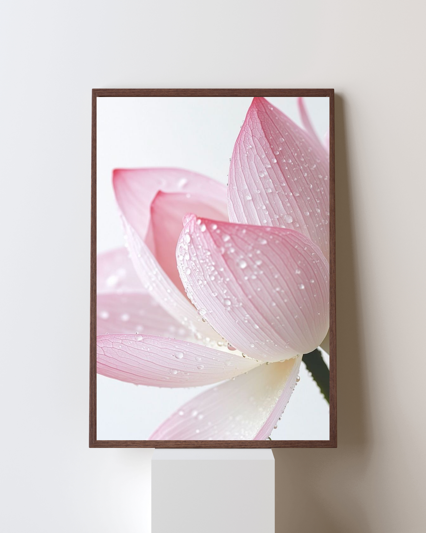 Blooming Frame – Dew-Kissed Pink Lotus | Serene Floral Wall Art
