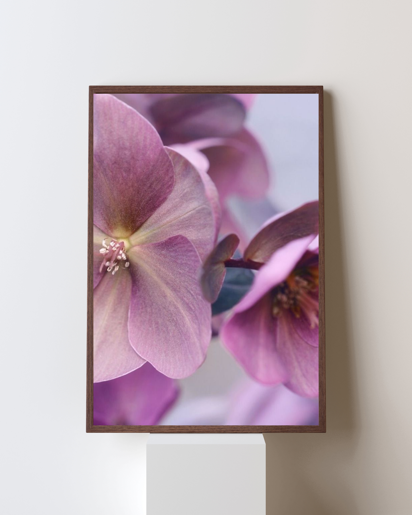 Blooming Frame – Soft Orchid Dream | Pastel Floral Wall Art