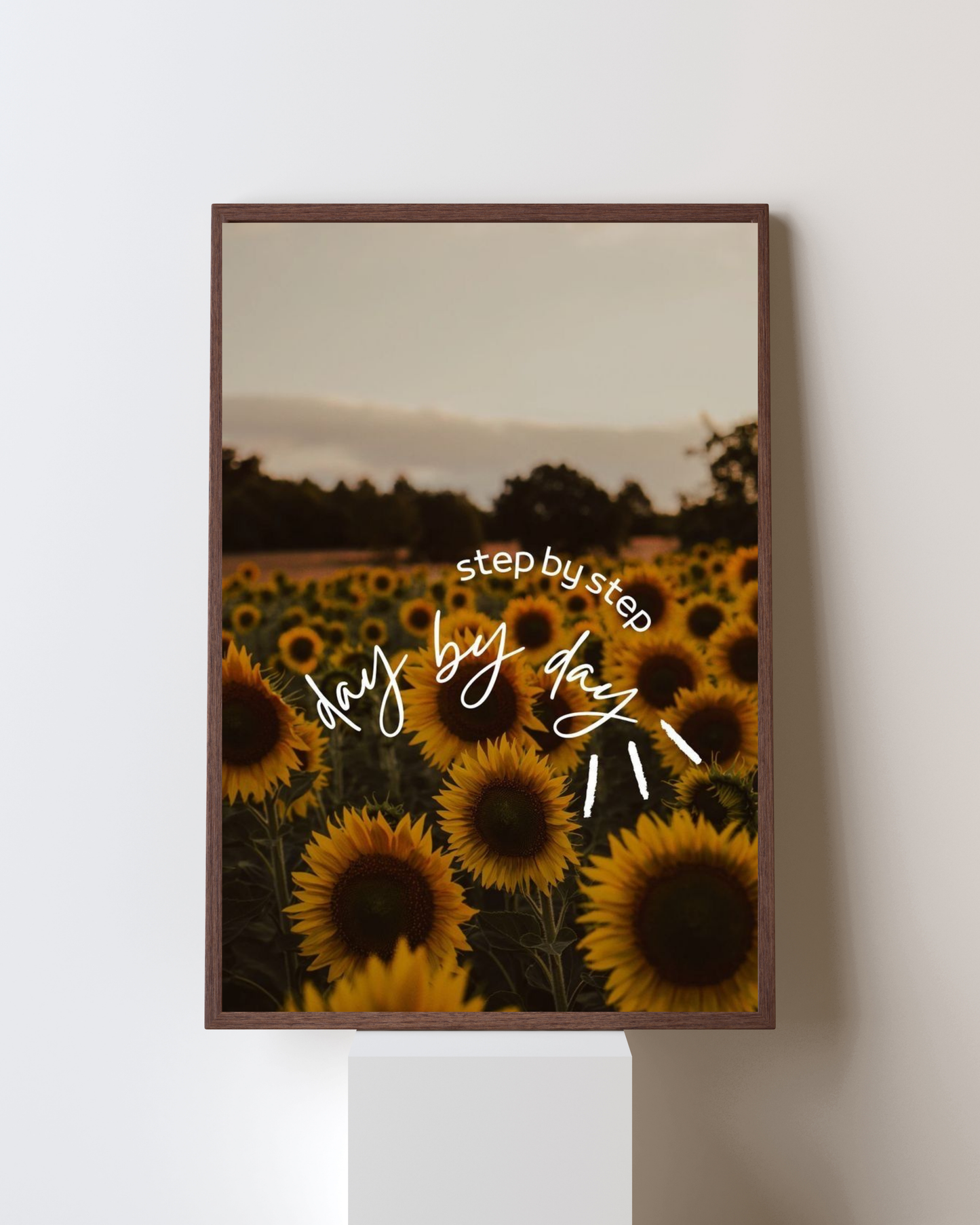 Step by Step, Day by Day