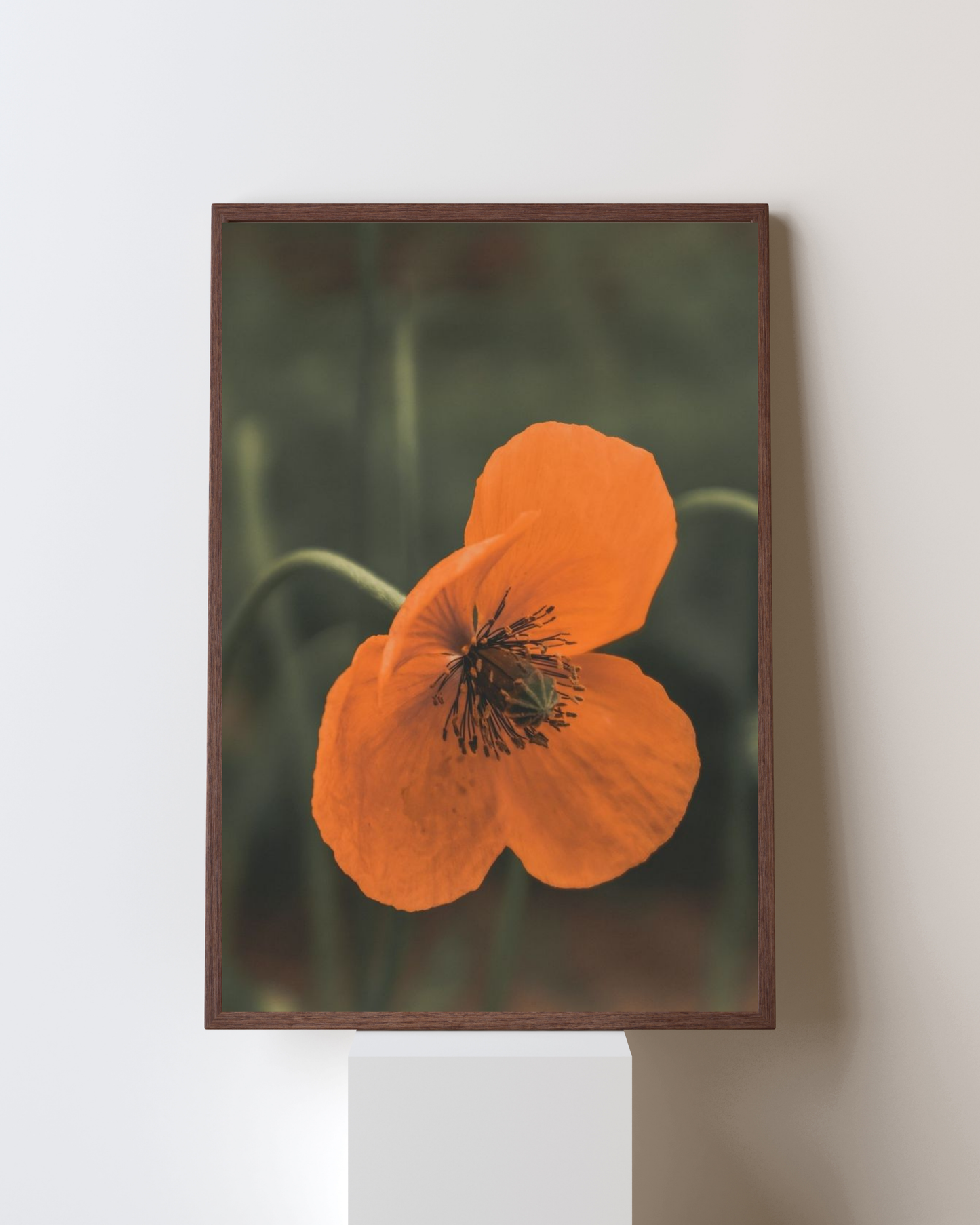 Blooming Frame – “Orange Bloom” Floral Wall Art