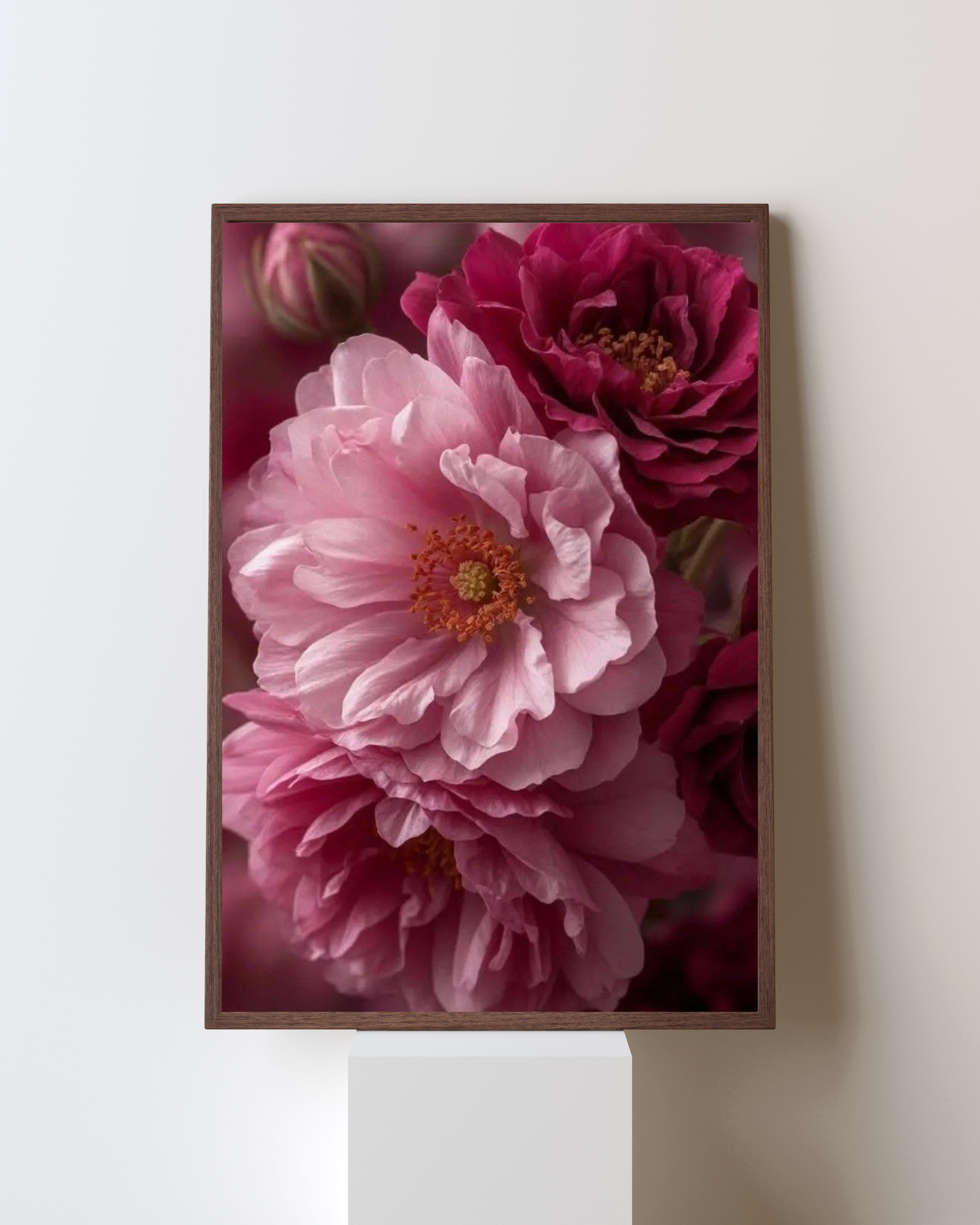 Blooming Frame – “Velvet Bloom” Dual-Tone Peony Wall Art