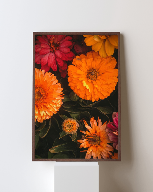Blooming Frame – “Golden Ember” Marigold & Zinnia Wall Art