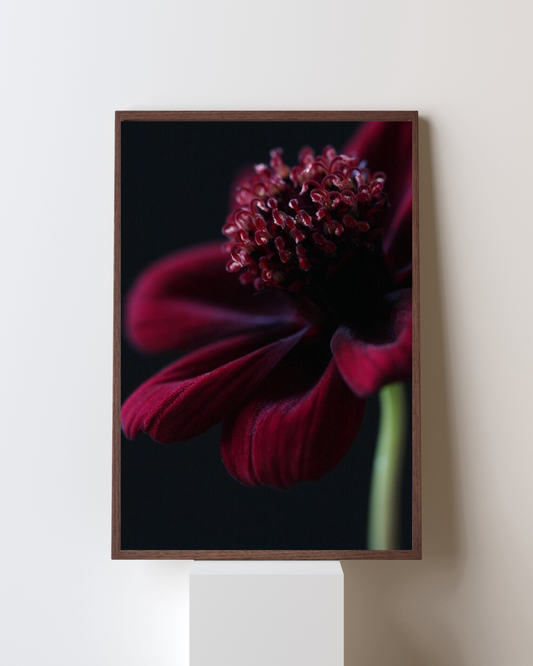 Blooming Frame – “Crimson Whisper” Floral Wall Art