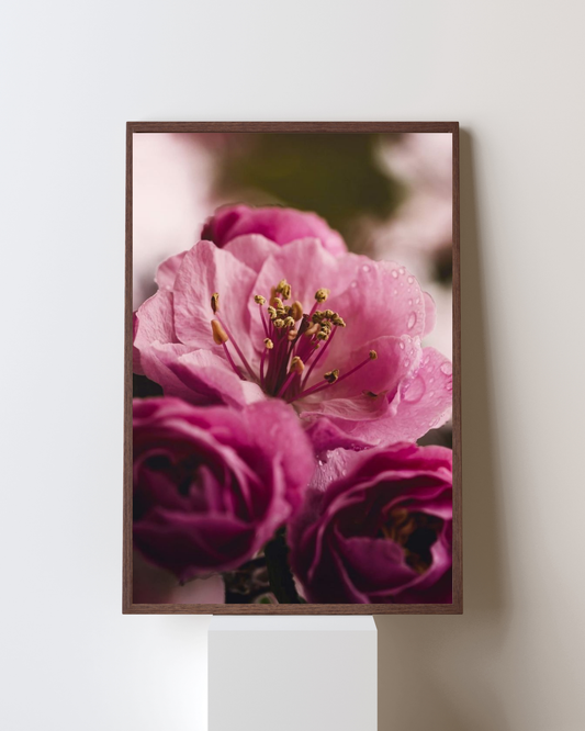Blooming Frame – “Petal Whisper” Floral Wall Art