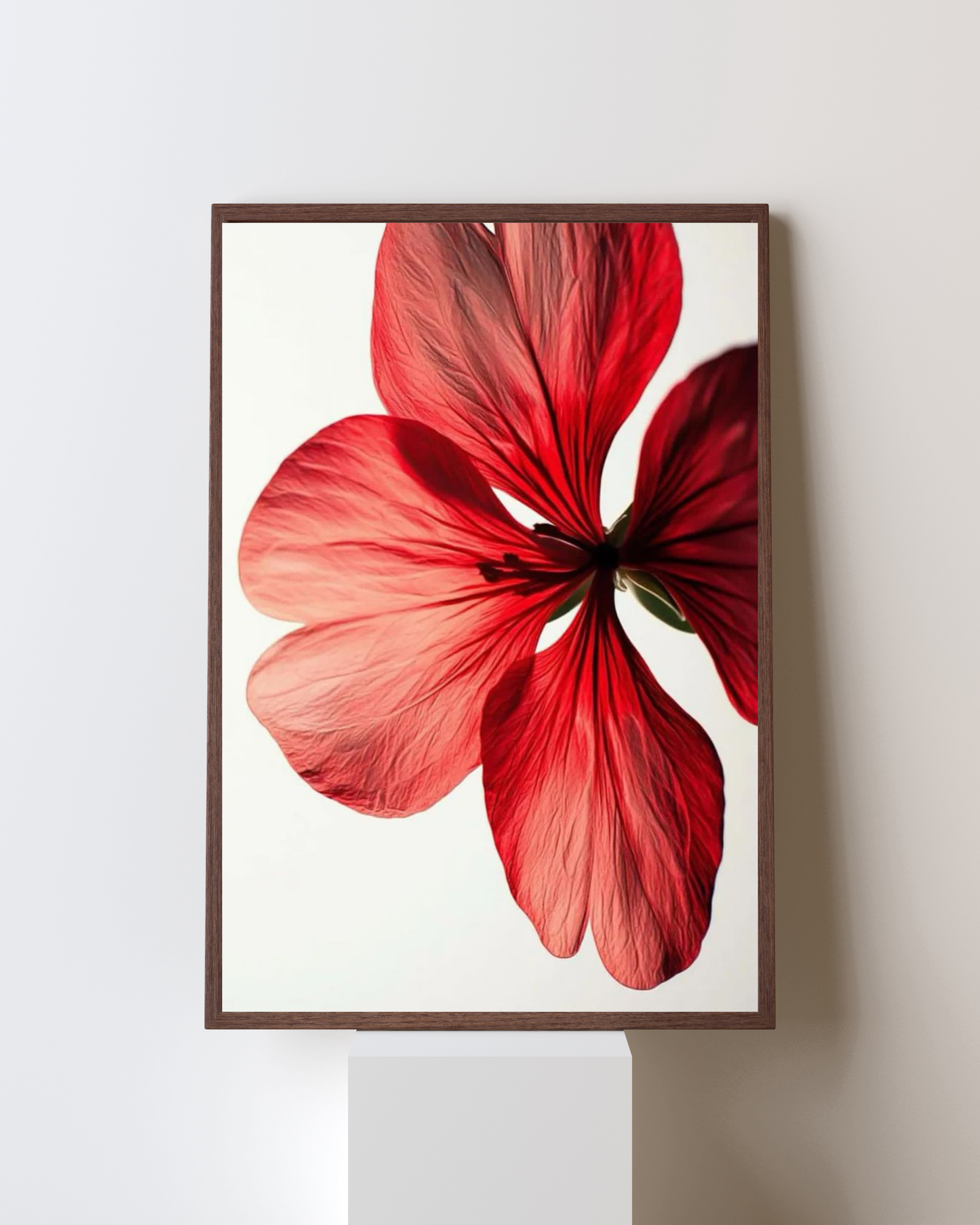 Blooming Frame – Scarlet Grace Floral Wall Art | Minimal Botanical Elegance