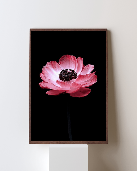 Blooming Frame – “Solitude Bloom” Floral Wall Art
