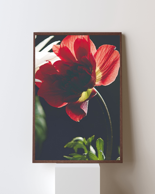 Blooming Frame – “Flame Petal” Wall Art