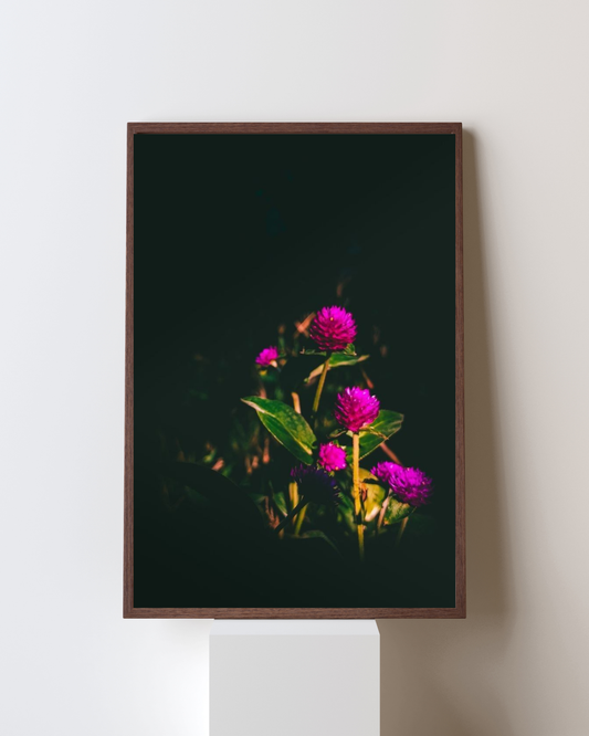 Blooming Frame – “Twilight Bloom” Wall Art
