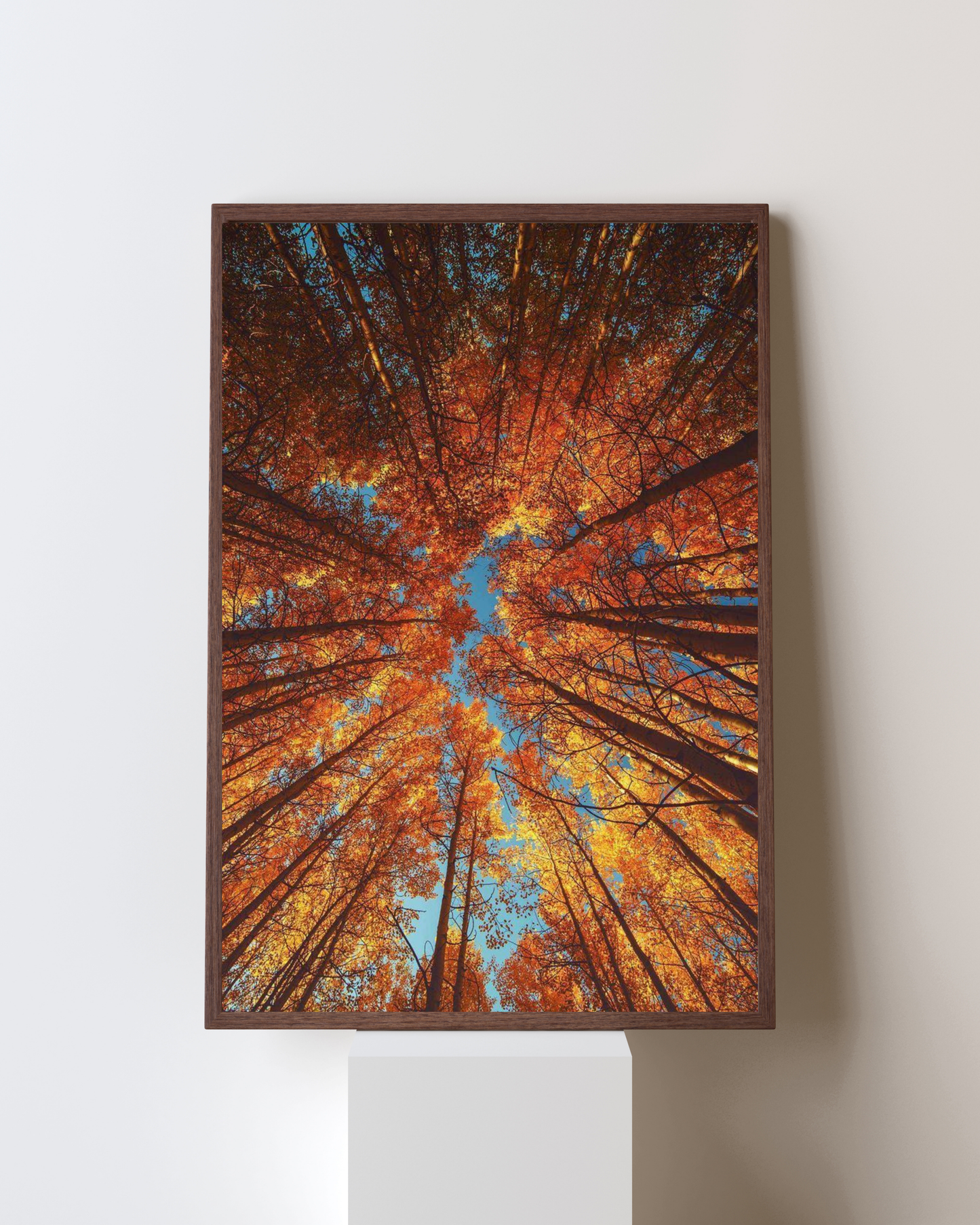 Golden Canopy – Autumn Forest Wall Art | Nature Aesthetic Frame