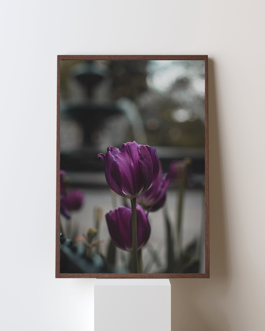 Blooming Frame – “Violet Reverie” Wall Art