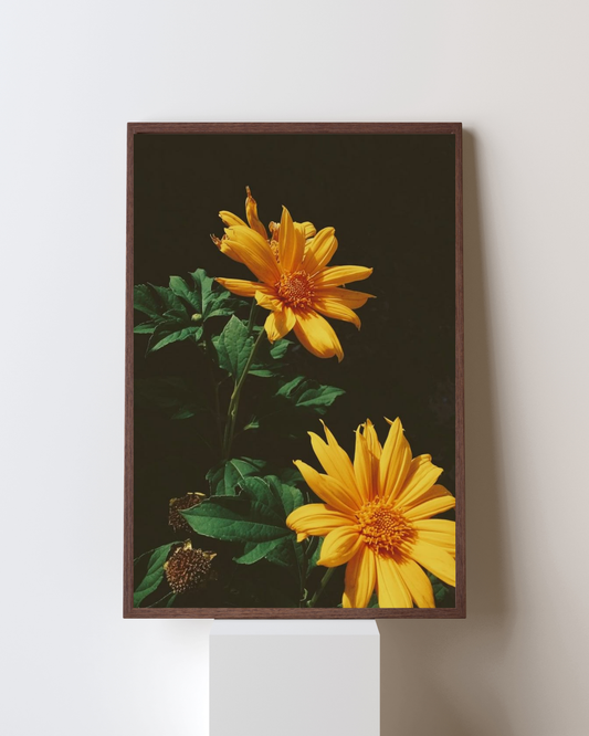 Blooming Frame – “Golden Morning” Wall Art
